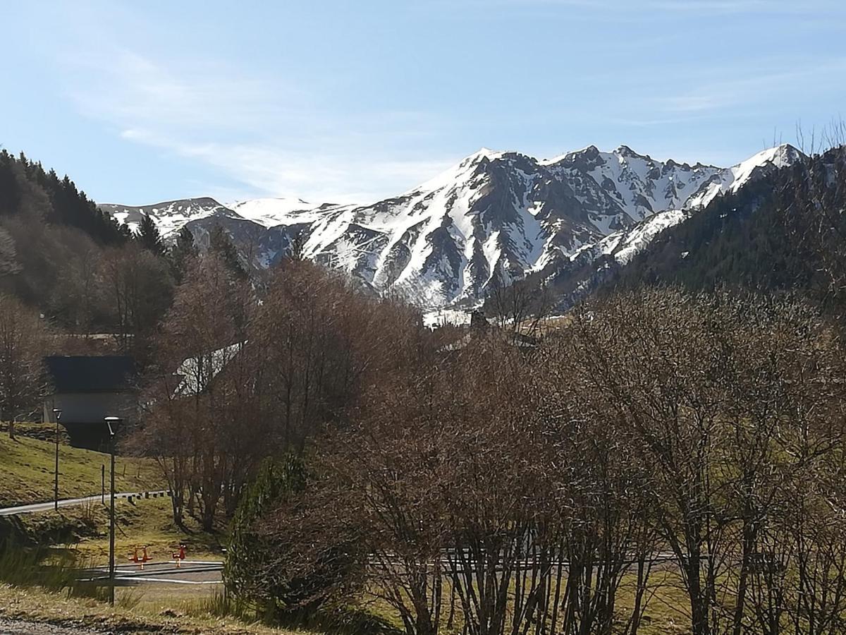 Apartment Duchatel *
